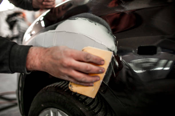 Best Industrial Mold Remediation  in St Petersburg, FL