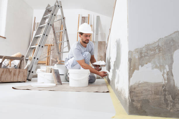 Best Real Estate Mold Inspection  in St Petersburg, FL